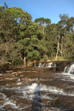 Arka planda bir sürü ağaç olan bir nehir.