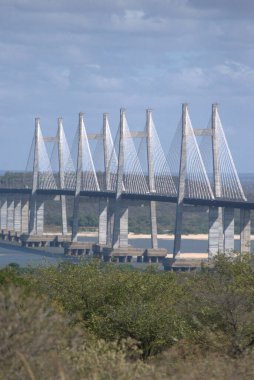 Üzerinde zürafa olan bir köprü.