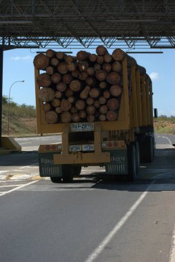 Yolda kütük taşıyan bir kamyon.