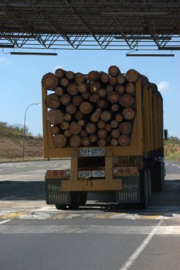 Arkasında kütükler olan bir kamyon.