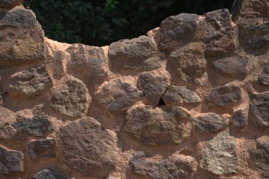 Arka planda ağaçlar olan kaya duvarında oturan bir kuş.