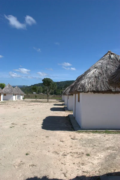 Bir tarlada sazdan çatıları olan bir sıra kulübe.