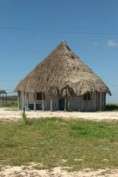 Tarlada sazdan yapılmış çatısı olan küçük bir kulübe.
