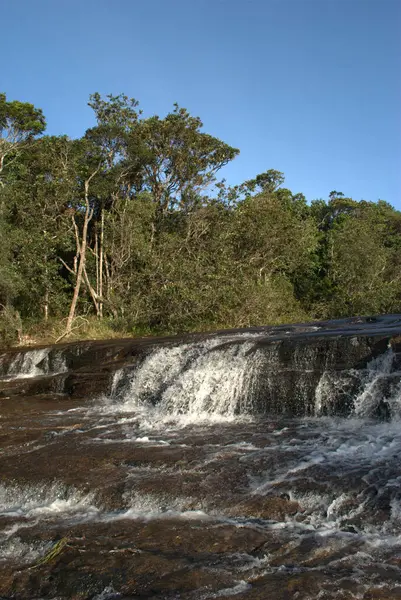 Şelalesi ve arka planında ağaçları olan bir nehir.