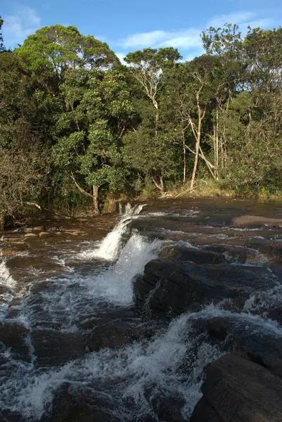 Şelalesi ve arka planında ağaçları olan bir nehir.