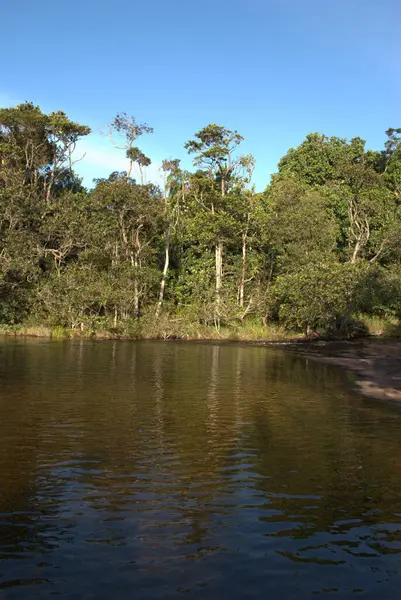 İçinde tekne olan bir nehir ve arka planda ağaçlar.
