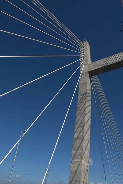 Üzerinde uçan bir uçak olan büyük bir köprü.