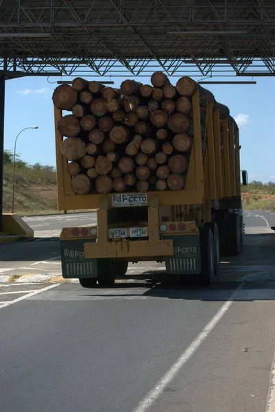 Yolda kütük taşıyan bir kamyon.