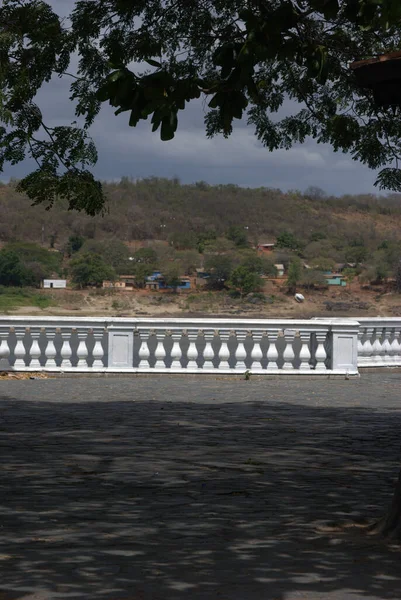 Ağacın altındaki bankta oturan bir adam.