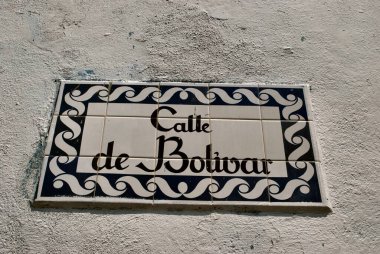 Carabobo Venezuela 'daki güzel kelebek