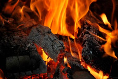 Ormanda şenlik ateşi.