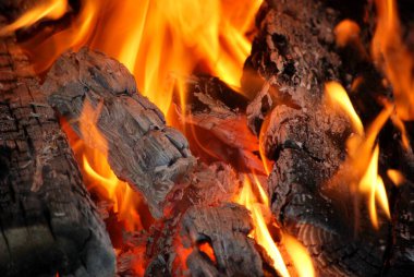 yangında yanan odun