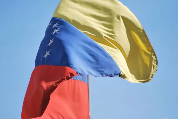 flags of the national flag and venezuela