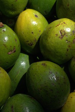 Masada taze yeşil avokado var.