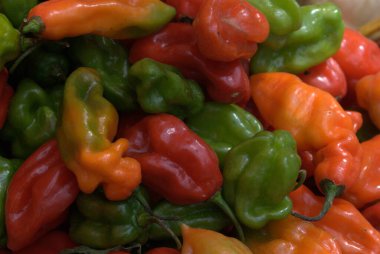 taze kırmızı sıcak biber biber