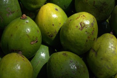 Olgun yeşil ve sarı mangoların arka planı