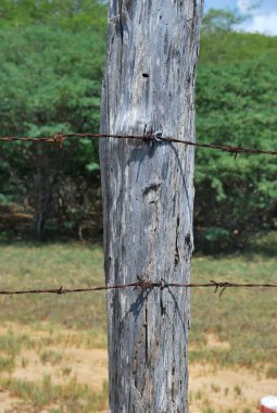 old rusty fence in the park