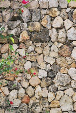 Su gölündeki kuş.