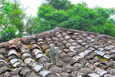 Bir sürü karlı eski ahşap çatı