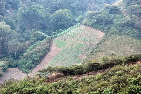 Doğa sahnesinin resimsel görüntüsü