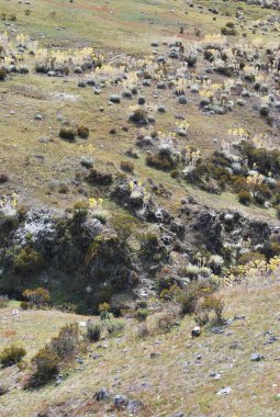 Doğal manzaranın güzel manzarası