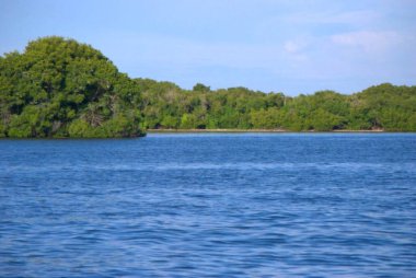 İsrail Eyaleti 'nin kuzeyindeki deniz ve nehir manzarası.