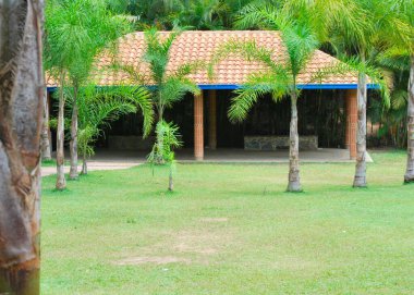 Parkın güzel manzarası