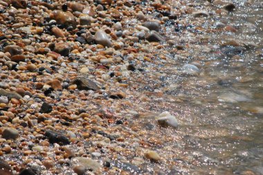 Sahilde deniz taşları