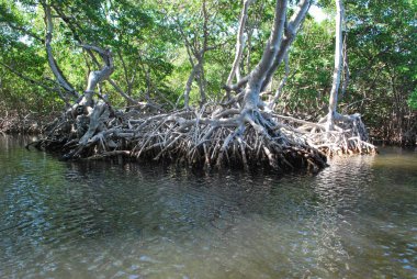 Güzel bir deniz manzarası. seyahat kavramı