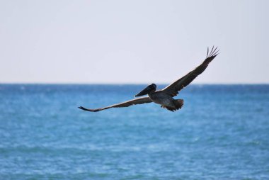 Güzel bir deniz manzarası. seyahat kavramı