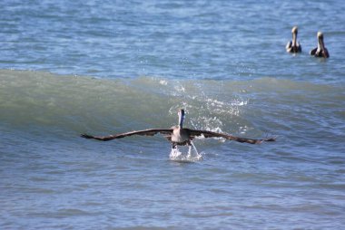 Güzel bir deniz manzarası. seyahat kavramı