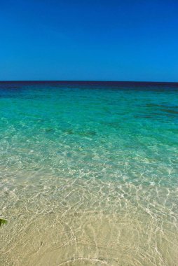 Turkuaz suyu olan tropik bir sahil.