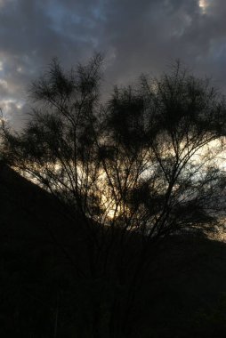 güzel gün batımının resimsel manzarası