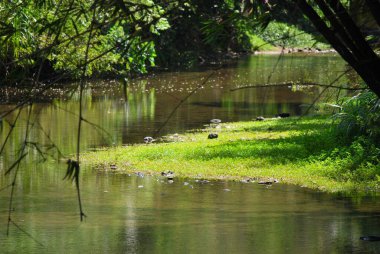Parkın güzel manzarası
