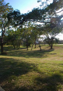 açık hava manzarasının resimsel görüntüsü