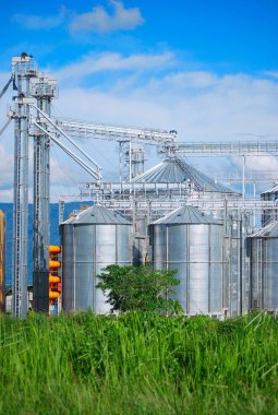 tarlada tahıl deposu.