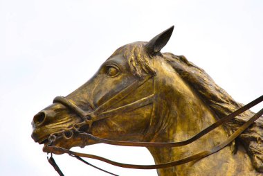 At başı müfrezesi.