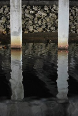 Güzel göl manzarası