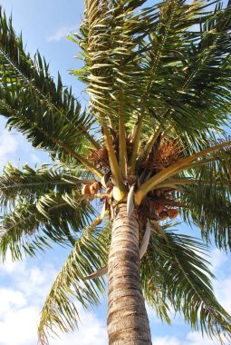 Güzel deniz manzarası