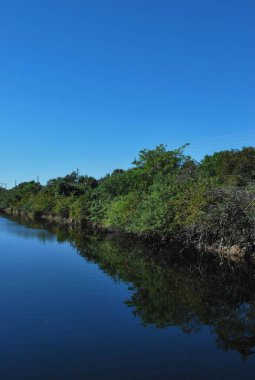 Parktaki gölün güzel manzarası