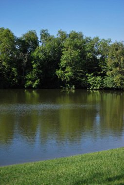 Parktaki gölün güzel manzarası