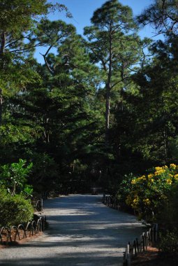 Parkın güzel manzarası