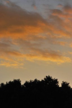 Güzel gün batımı gökyüzü bulutlu