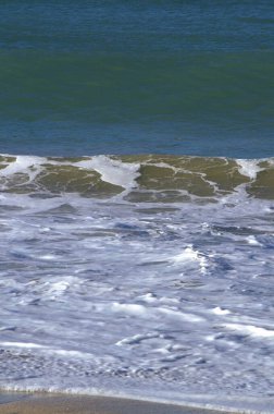 Sahildeki deniz dalgaları
