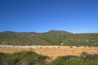 Deniz kıyısının güzel manzarası