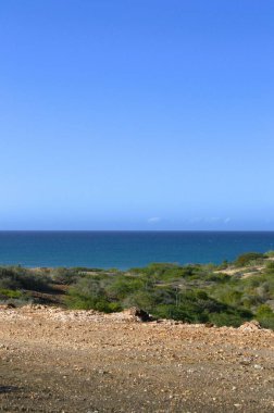 Deniz kıyısının güzel manzarası
