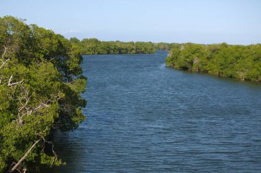 Nehrin güzel manzarası