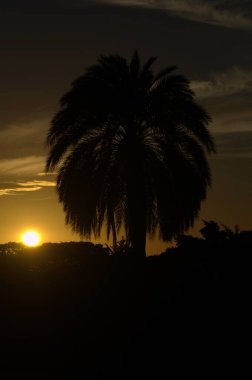 Doğada güzel bir gün batımı