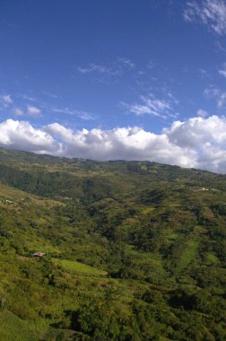 Sabahleyin dağların manzarası