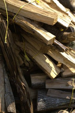 Ormanda yakacak odun yığını